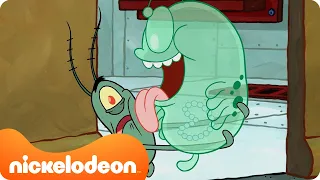 SpongeBob | SpongeBob helpt Plankton met zijn PUPPY'S 🐶 | Nickelodeon Nederlands