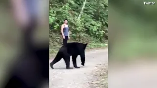 Video: Amazing moment curious bear approaches group of hikers in Mexico