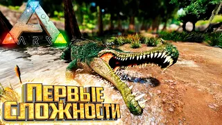 Первые Сложности Выживания - ARK Survival Evolved Island Выживание #2