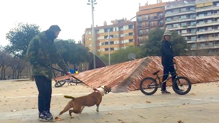 BARCELONA BMX SPOT TOUR