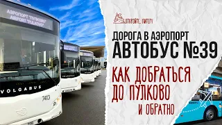 How to get to Pulkovo airport? The most budget option is bus number 39!