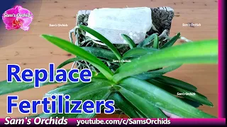 Replace orchid long lasting (slow release) fertilizers