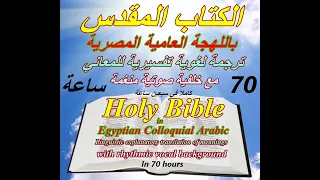 الكتاب المقدس بالعامية المصرية في 70 ساعة  ترجمة لغوية تفسيرية للمعاني، (ج5 من 7)  اش 11:13- حز 7:42