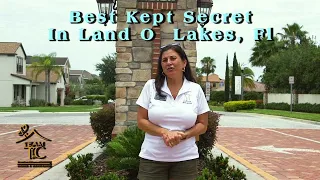 Land O Lakes Florida Neighborhoods | Terra Bella
