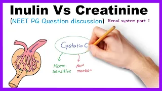 Inulin Vs Creatinine / NEET PG Question discussion / Renal System Part 1