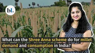 From fields to plates: A progress check on Shree Anna Scheme