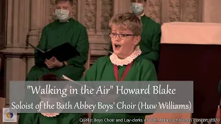 "Walking in the Air" Howard Blake | Soloist of the Bath Abbey Boys' Choir (Huw Williams)