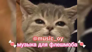 музыка для флешмоба✨🤩