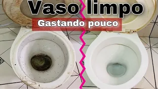 Como Limpar Vaso Sanitário, Encardido Com Crosta Por menos De 3 Reias