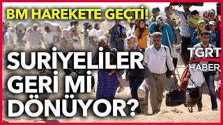 BM'den Kritik Adım! Suriyeliler Geri Mi Dönüyor? - TGRT Haber