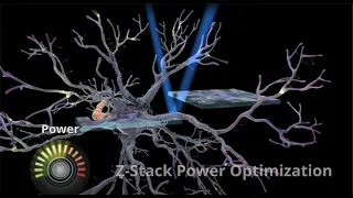 Coherent | Chameleon Discovery NX for Two-Photon Imaging and Spectroscopy