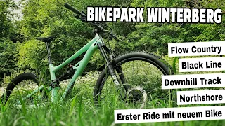 Bikepark Winterberg | 4 meiner Lieblingsstrecken | Erster Ride mit neuem Bike #statusmtb | Leo Kast