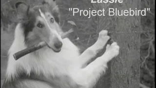 Lassie - Episode #315 - "Project Bluebird" - Season 9, Ep. 24 - 03/24/1963