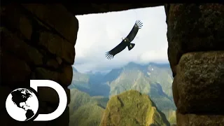 Macchu Picchu: La ciudad perdida de los Incas | Latinoamérica salvaje | Discovery Latinoamérica