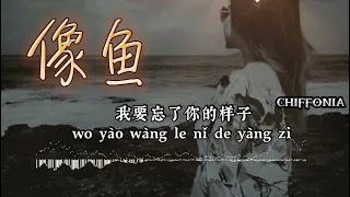 像鱼～Xiang Yu / Cover：chiffonia  (原唱：王贰浪） 【Chiffonia Music】 Lyrics Pinyin