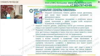 Каплина А.В.  2021-09-14 «КФС «БАЛАКАР СЕНОТЫ ЮКАТАНА» и «СЕРЕБРЯНЫЙ РУЧЕЙ» Ч.2» #кфскольцова