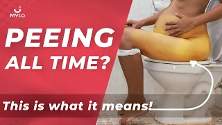 Frequent Urination During Pregnancy | When Does Frequent Urination In Pregnancy Start | Mylo Family