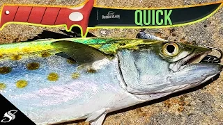 How to Clean a Spanish Mackerel in Under Two Minutes 😎