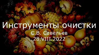 С.В. Савельев - Инструменты очистки