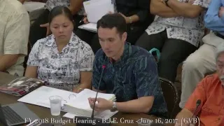 FY 2018 GVB Budget Hearing - B.J.F. Cruz - June 16, 2017