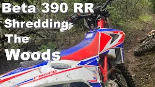 Shredding the Woods on the Beta 390RR