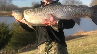 World Record Fish