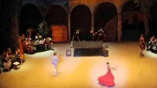 Character dances in Don Quixote, Bolshoi Ballet - Palais Garnier, 12-13th May 2011