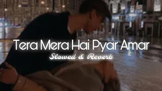 Tera Mera Hai Pyar Amar - [ slowed & reverb ] | Ishq Murshid |