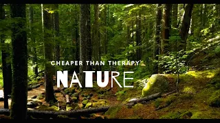 Embrace the nature - relaxing forest natural sound