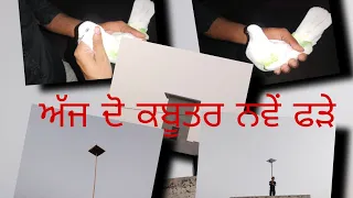 ਅੱਜ ਦੋ ਕਬੂਤਰ ਨਵੇਂ ਫੜੇ।