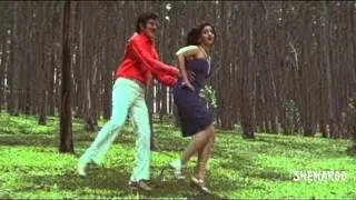 Kanchu Kagada Telugu Movie Songs - Singari Sigge Andam Song - Krishna, Sridevi