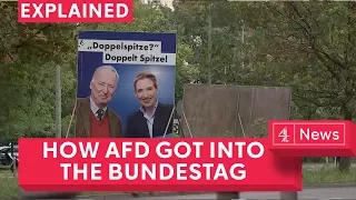 How AfD reached the German parliament