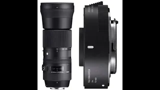 Teleconverter TC-1401 kit and Sigma 150-600mm f/5-6.3 DG OS HSM Nikon F mount