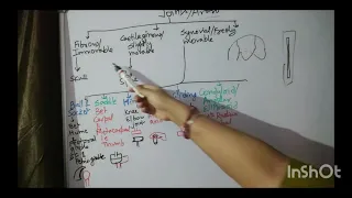 Bone joints & it's types Synarthrosis, amphiarthrosis & diarthrosis.