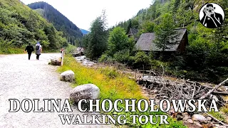 Chochołowska Valley. A walk through the Chochołowska Valley. Zakopane Poland. Tatry Mountains 4K