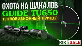 Охота на шакалов тепловизионным прицелом  GUIDE TU650. Выстрелы по шакалам.