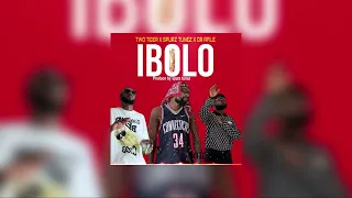 Two Tigers - Ibolo ft spurz tunez x Sir Dr Afile (Official Visualizer)