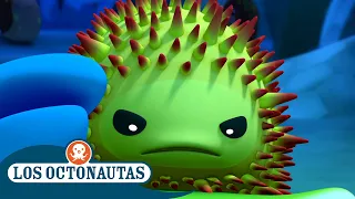 Los Octonautas - El cangrejo contencioso y el erizo de mar 🦀 | Episodios Completos