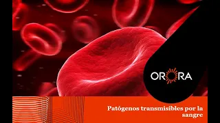 Bloodborne Pathogens Training Presentation   Espanol