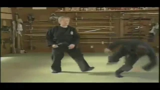 Tributo a Hatsumi Masaaki. NINJUTSU ARGENTINA (Buenos Aires, Zona Norte)