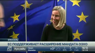 ЕС поддерживает решение о расширении мандата ОЗХО