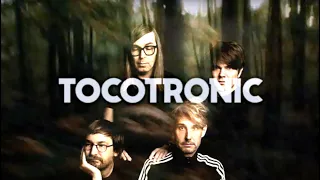 Tocotronic - Der letzte Kranich