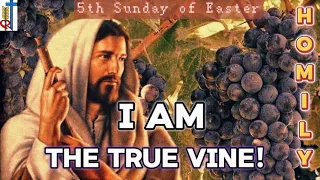 5th Sunday of Easter Homily 2024 YearB/ April 28,2024 Homily/ Fifth Sunday of Easter/ I am the  Vine