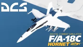 DCS: F/A-18C Hornet "I AM THE STORM"