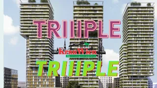 Baustelle Triiiple - Kran im Einsatz