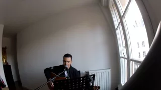 Nickelback - Trying Not To Love You - Cover by Florian