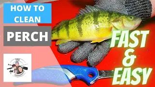 How to clean Perch - Fast and Easy!