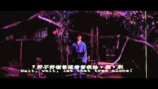 The One Armed Swordsman (1967) original trailer