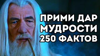 250 интересных фактов о нашем мире которые тебя удивят