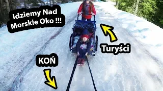 Wycieczka nad Morskie Oko !!! - Zostałem Koniem !!!   * przyczepa kempingowa (Vlog #277)